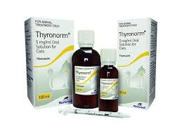 Thyronorm Solution for Cats 100ml