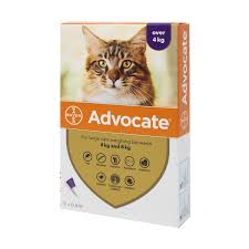 Advocate 80 Large Cat (4kg-8kg)