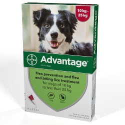 Advantage 250 Flea Treatment 10-25kg (Dogs)