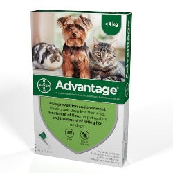 Advantage 40 Flea Treatment <4kg (Small Dog/Cat/Rabbit)