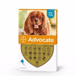 Advocate 100 Medium Dog (4kg-10kg)