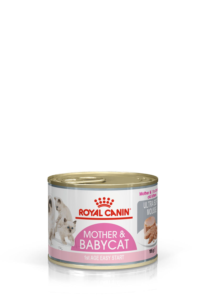 Royal Canin Mother and Babycat Dry Food