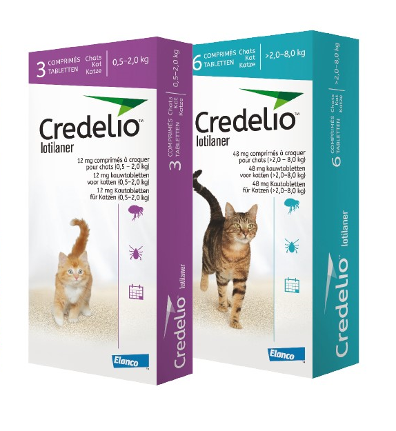 Credelio Tablets for Cats