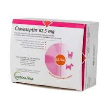 Clavaseptin Tablets for Dogs & Cats