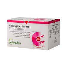 Clavaseptin Tablets for Dogs