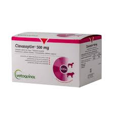 Clavaseptin Tablets for Dogs