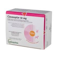 Clavaseptin Tablets for Dogs & Cats