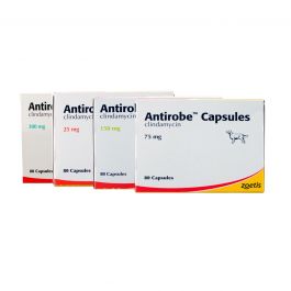 Antirobe Capsules