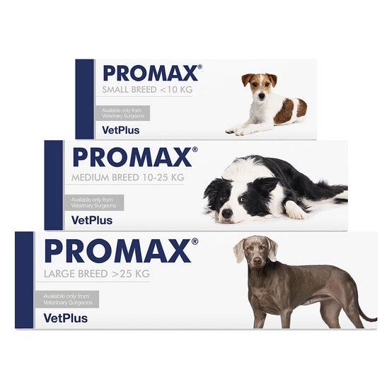 Promax Syringe