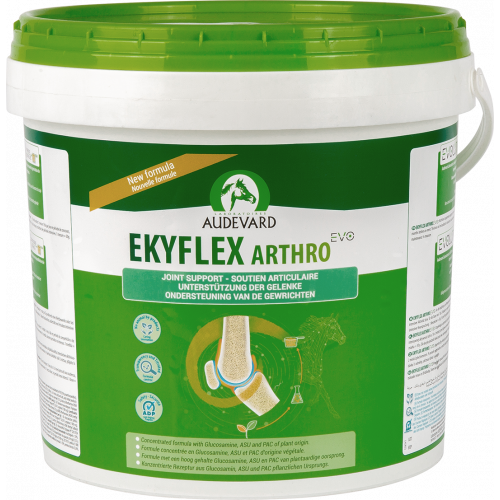 Audevard Ekyflex Arthro EVO for Horses