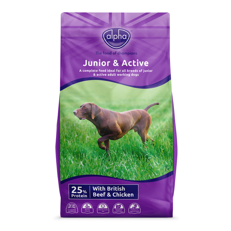 Alpha Junior & Active Field Nuggets Dry Dog Food
