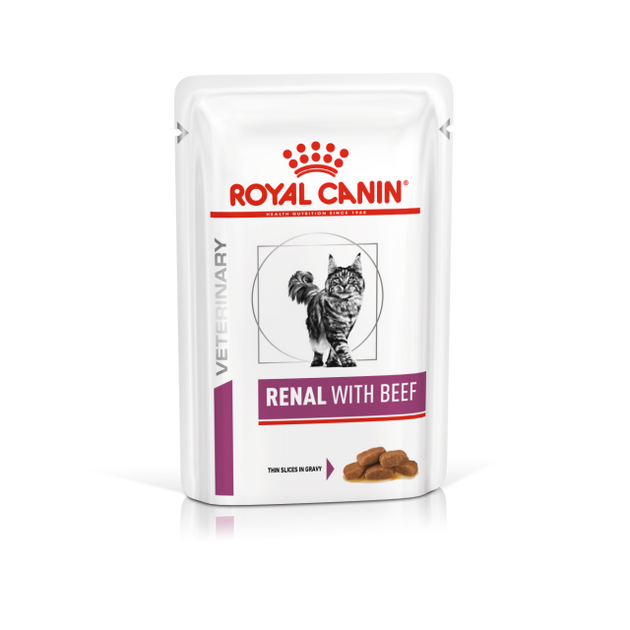 Royal canin renal cat top food pets at home