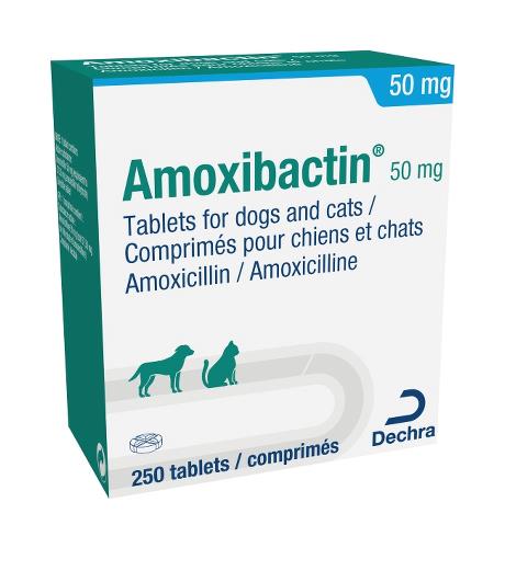 Amoxibactin Tablets for Dogs & Cats 50mg