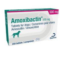 Amoxibactin Tablets for Dogs 250mg & 500mg