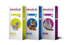 Bravecto Spot On for Cats