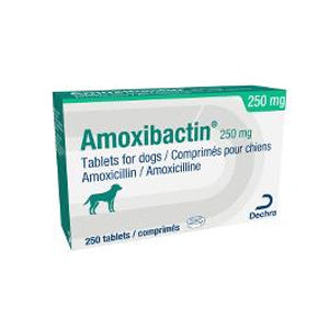 Amoxibactin Tablets for Dogs 250mg & 500mg