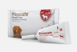 Prinocate Large Dog 250/62.5mg 3 pack