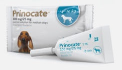 Prinocate Medium Dog >4kg-10kg 3 pack