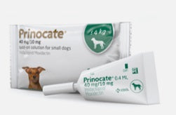 Prinocate for Small Dogs <4kg 3 Pack
