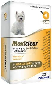 Moxiclear Medium Dog 4kg-10kg