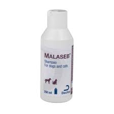 Malaseb Shampoo 250ml